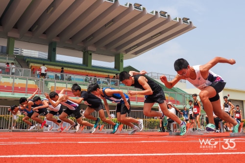 WAC-35th-anniversary-the-Annual-Challenge-_1-500x333